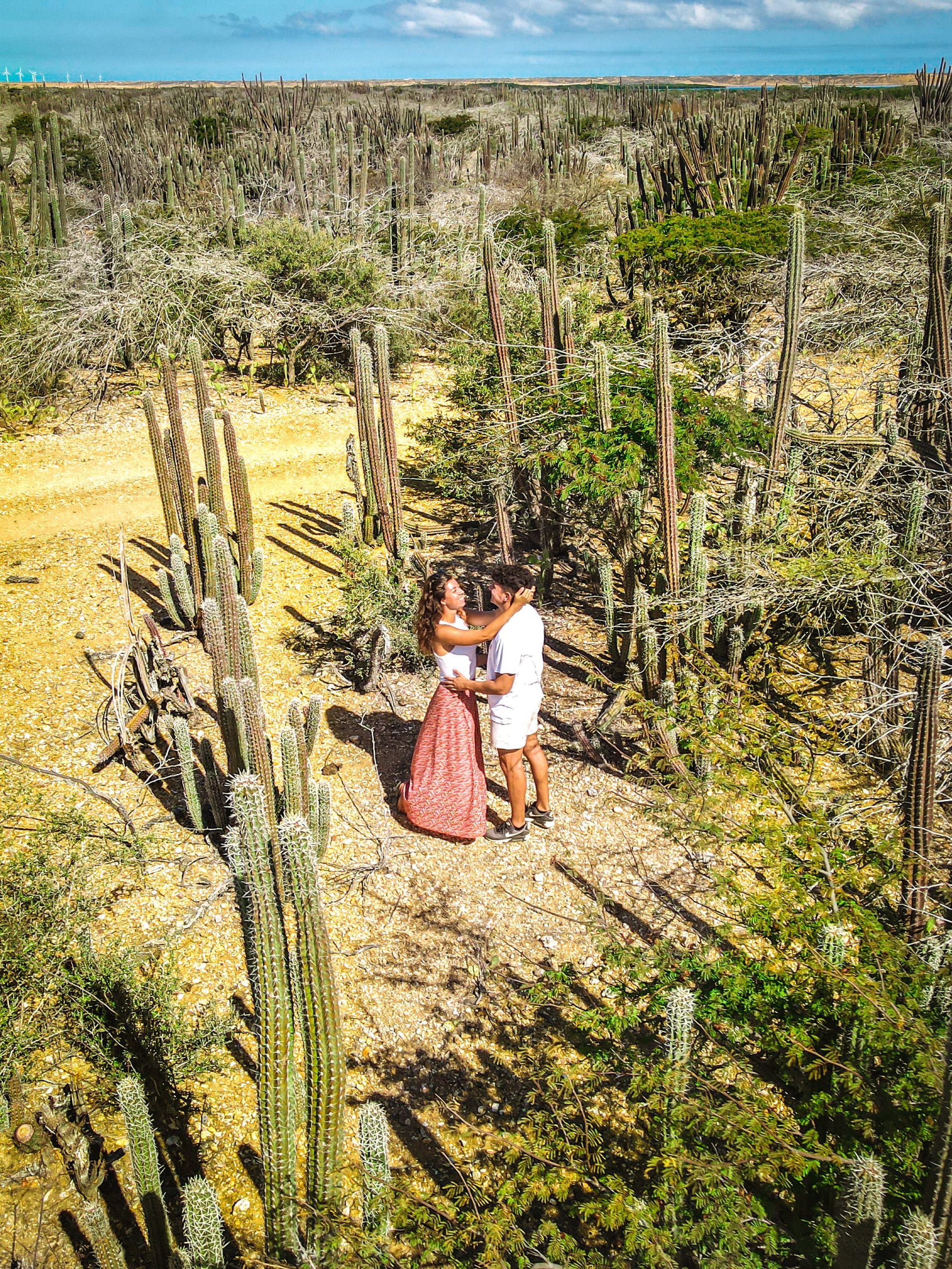 Couple au milieu d’un désert de cactus en Colombie Couple au milieu d'un désert de cactus en Colombie